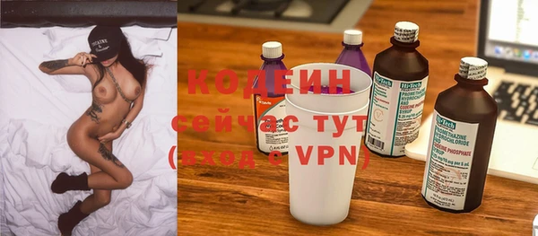 твердый Корсаков