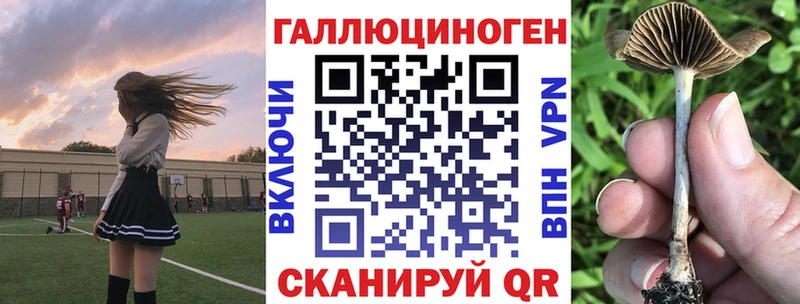 Псилоцибиновые грибы Psilocybine cubensis Первоуральск