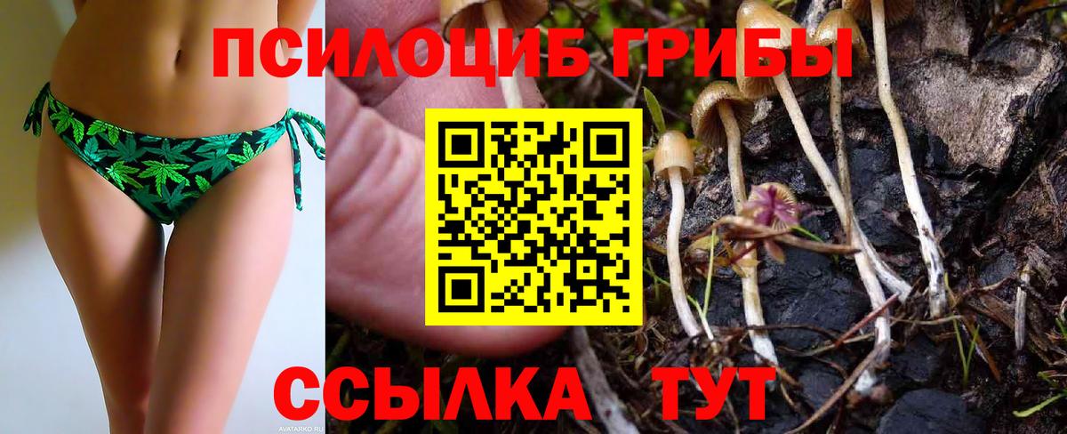 Галлюциногенные грибы Magic Shrooms Первоуральск